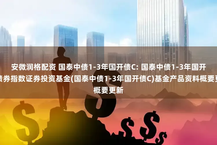 安微润格配资 国泰中债1-3年国开债C: 国泰中债1-3年国开行债券指数证券投资基金(国泰中债1-3年国开债C)基金产品资料概要更新