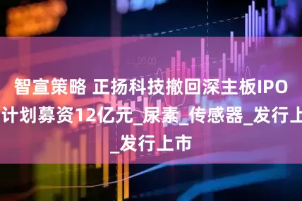 智宣策略 正扬科技撤回深主板IPO 原计划募资12亿元_尿素_传感器_发行上市