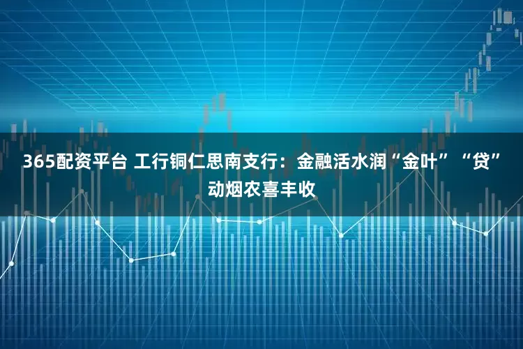 365配资平台 工行铜仁思南支行：金融活水润“金叶” “贷”动烟农喜丰收
