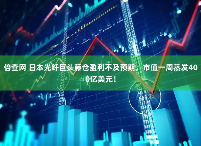 倍查网 日本光纤巨头藤仓盈利不及预期，市值一周蒸发400亿美元！